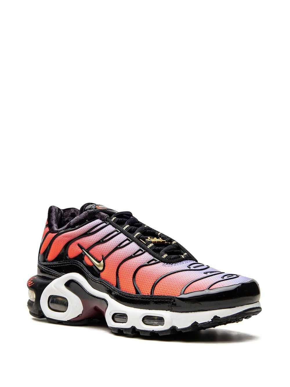 Nike Air Max Plus "Sisterhood" sneakers nike